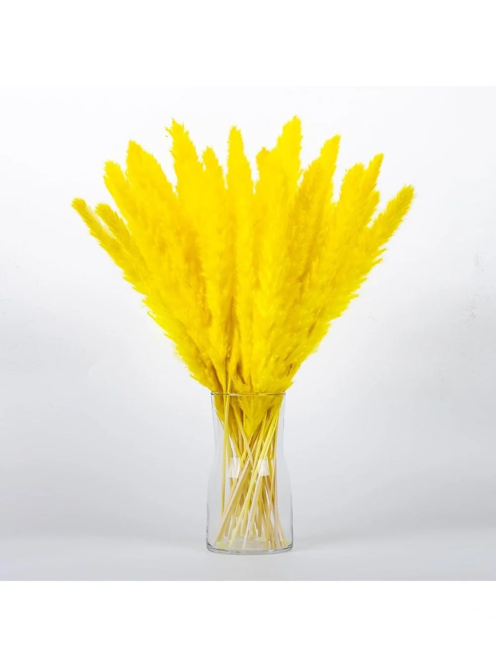 Colorful Dried Pampas Grass Stems – Multicolor Home Accent